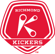 查勒斯顿电池
